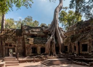 Готовимся к поездке в Камбоджу: «храм Анджелины Джоли», жаренные пауки и опасные мины